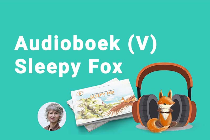Audioboek Sleepy Fox V