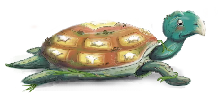 Schillie de schildpad