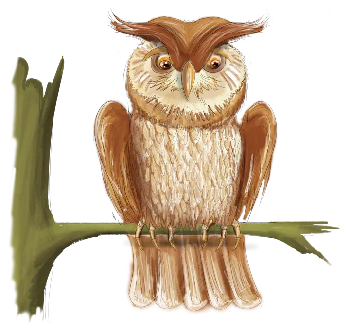 De Wijze Uil