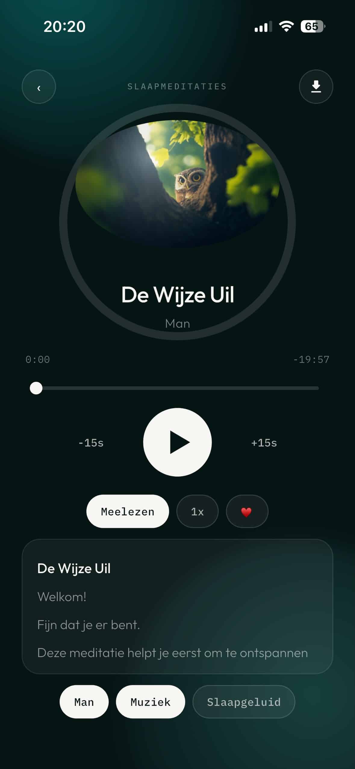 Speler De Wijze Uil